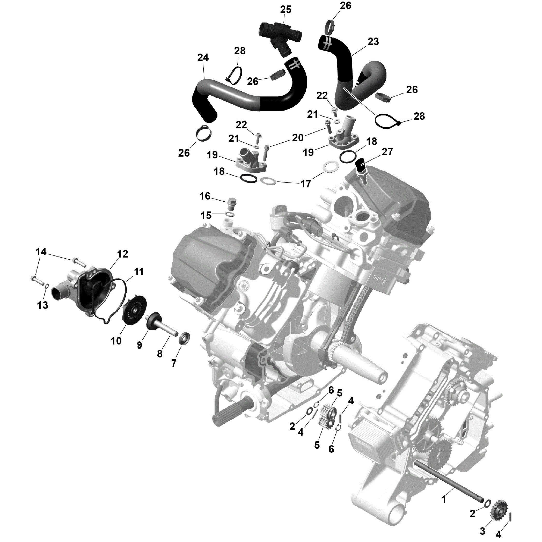 An Image of a Genuine Can-Am Parts Schematic Diagram showing the schematic - ROTAX - ENGINE COOLING