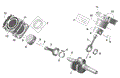 ROTAX - CRANKSHAFT PISTONS AND CYLINDER - 2026 CAN AM RENEGADE 650 4X4 X MR EFI - CATALYST GRAY