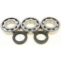 Crankshaft Bearing & Seal Kit by All Balls