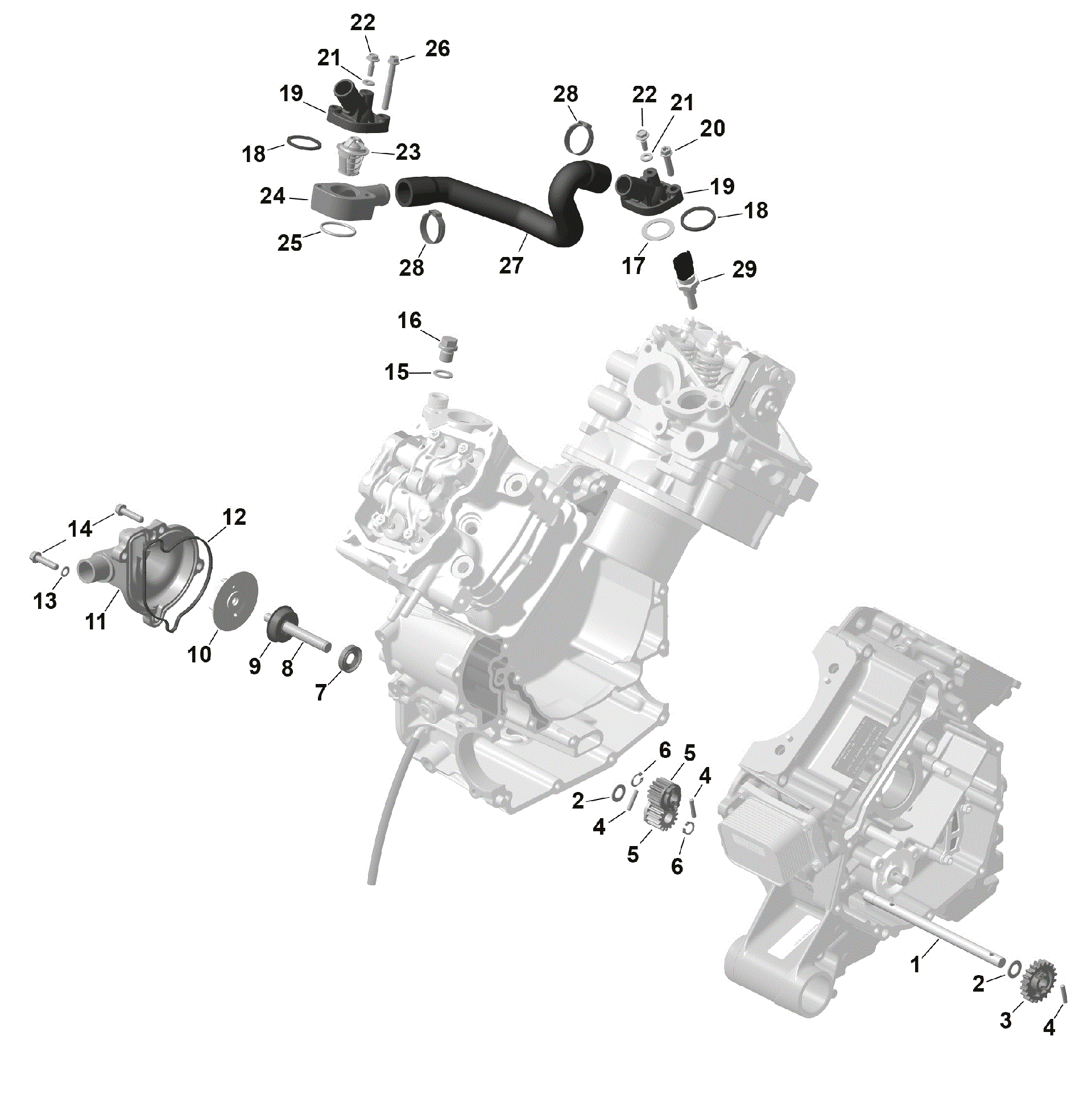 An Image of a Genuine Can-Am Parts Schematic Diagram showing the schematic - ROTAX - ENGINE COOLING