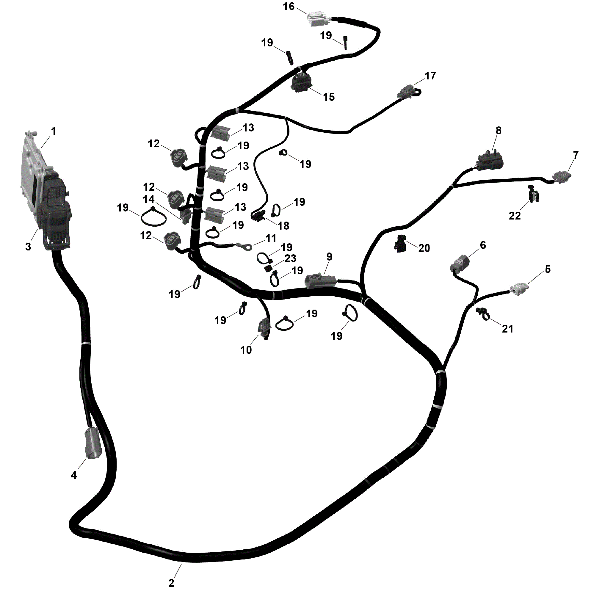 An Image of a Genuine Can-Am Parts Schematic Diagram showing the schematic - ROTAX - ENGINE HARNESS AND ELECTRONIC MODULE