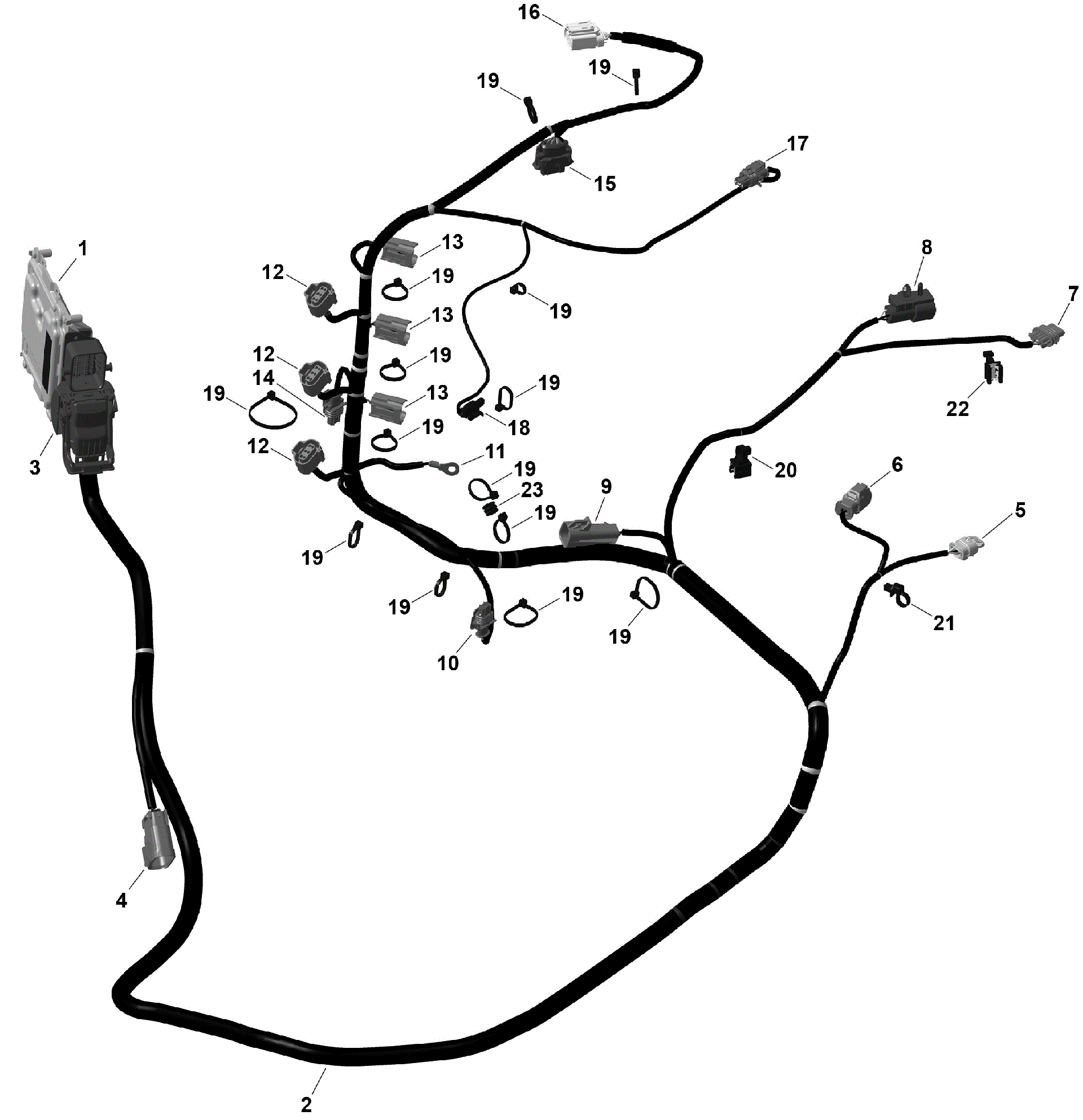 An Image of a Genuine Can-Am Parts Schematic Diagram showing the schematic - ROTAX - ENGINE HARNESS AND ELECTRONIC MODULE