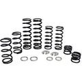 Polaris Dual Rate Spring Kit by ZBroz