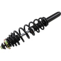 Gas Shock Front by Moose