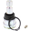 Heavy-Duty Upper/Lower Ball Joint by Moose