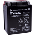 High Performance Agm Maintenance-Free Battery By Yuasa