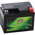 Maintenance-Free Battery By Power Max