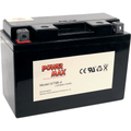 Maintenance-Free Battery By Power Max