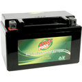 Maintenance-Free Battery By Power Max