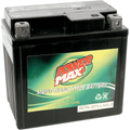 Maintenance-Free Battery By Power Max