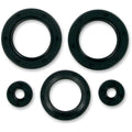 Motor Seals Polaris 400 by Moose
