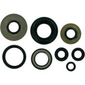 Motor Seals Yfm350 by Moose
