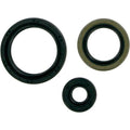 Motor Sls Polaris 325-500 4-Str by Moose