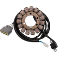Oem Style Stator By Rick's Motorsport Electric