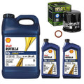 Oil Change Kit Indian Thunder Stroke 5W-40 6 Qt by Witchdoctors