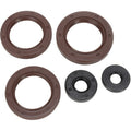 Oil Seal Set Can-Am by Moose