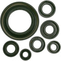 Oil Seal Set Honda by Moose