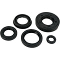 Oil Seal Set Polaris by Moose