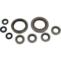 Oil Seal Set Polaris by Moose
