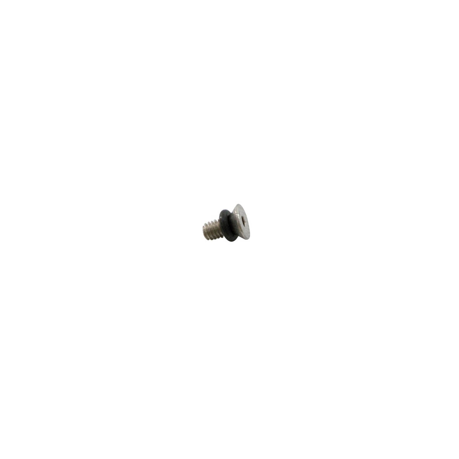 Small silver metal bleeder screw with black washer for offroad vehicle brake systems.
