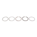 Piston Rings Kit 80mm by Polaris