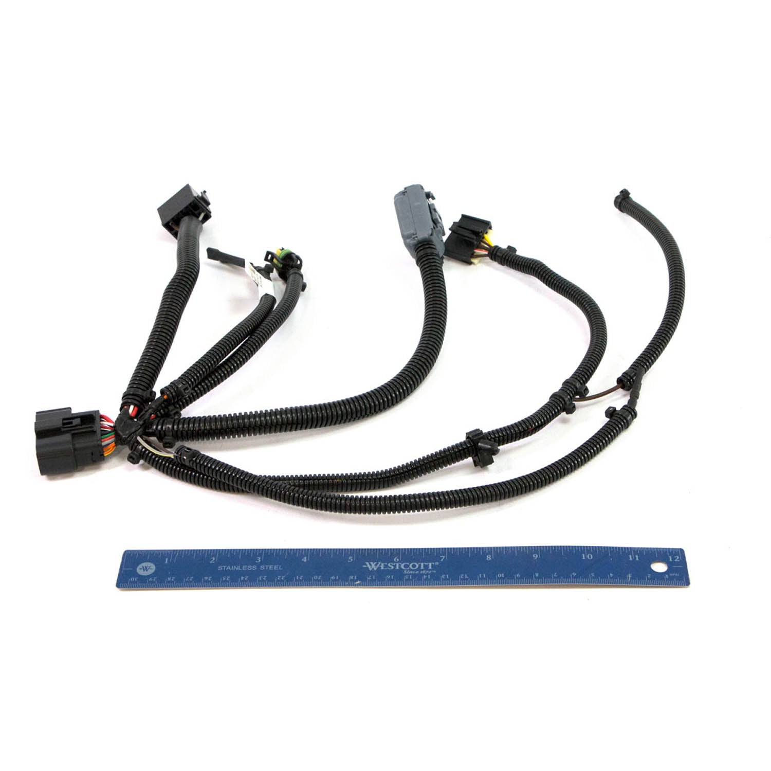 Black flexible automotive wiring harness with multiple connectors and protective covering placed next to a blue ruler for.