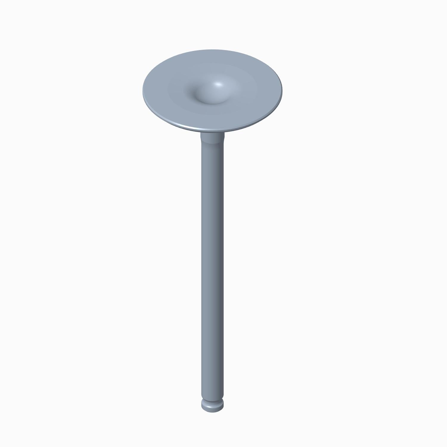 Gray metal intake valve with flat circular head and long narrow stem.