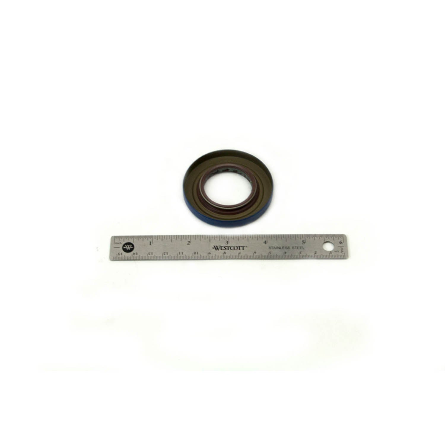 Black and blue rubber triple lip seal next to a metal ruler for size reference.