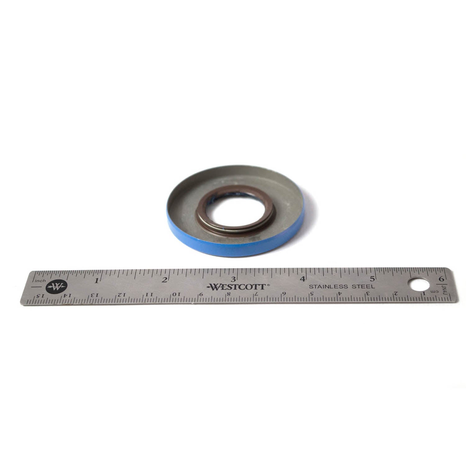 Round oil seal with black inner lip and blue outer edge, alongside a 6-inch metal ruler for size reference.