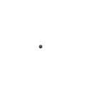 Ball 0.25 Dia by Polaris