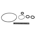Seal Repair by Polaris