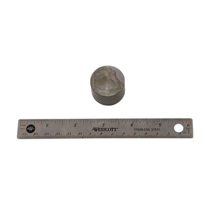 Metal valve tappet with a flat top next to a 6-inch metal ruler for size reference.