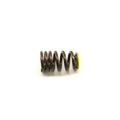 Valve Spring by Indian