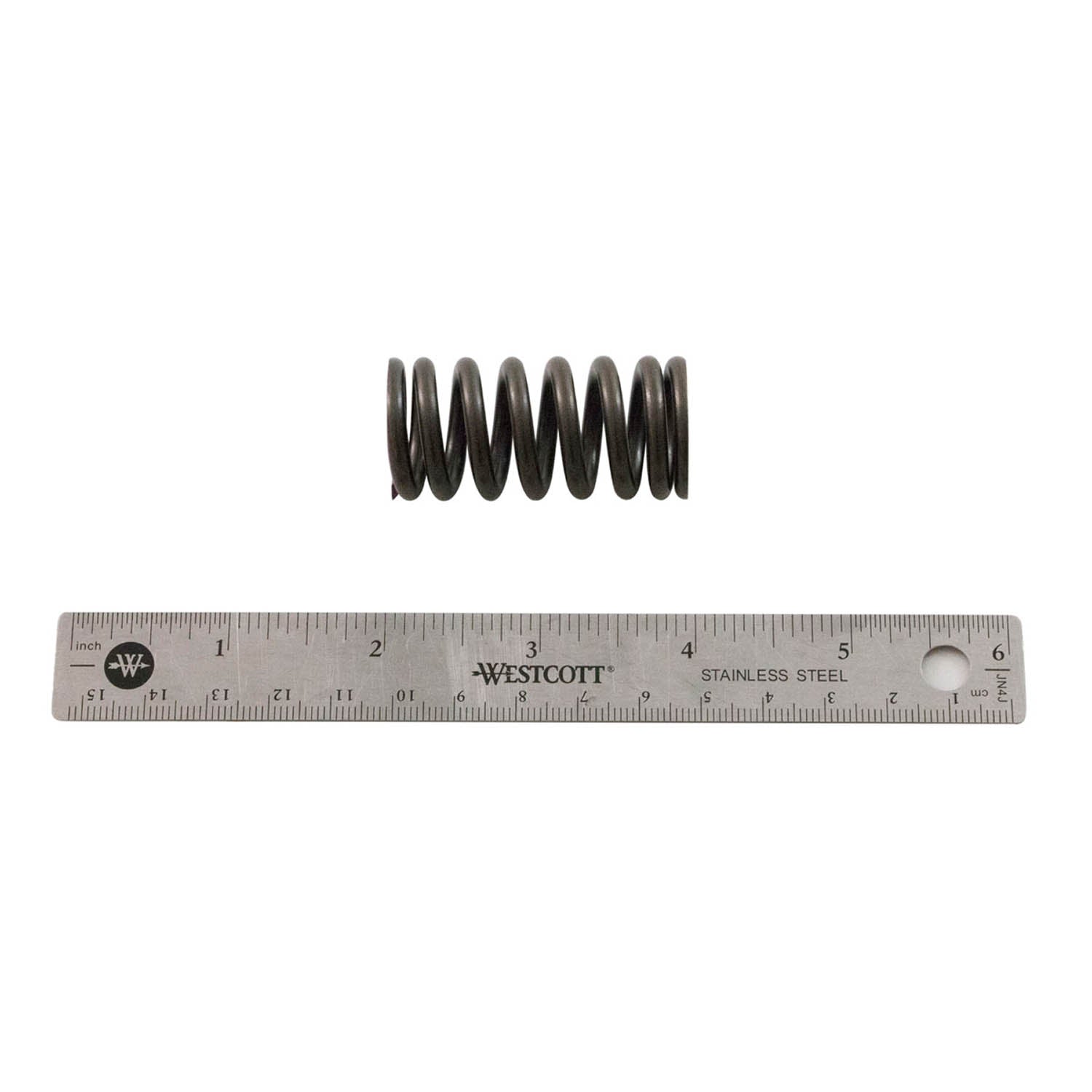 Valve Spring by Polaris
