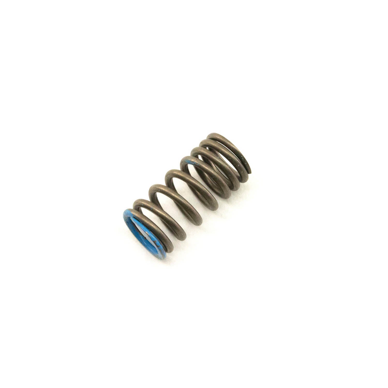 Compact metal valve spring with dark coils and blue-coated ends on white background.