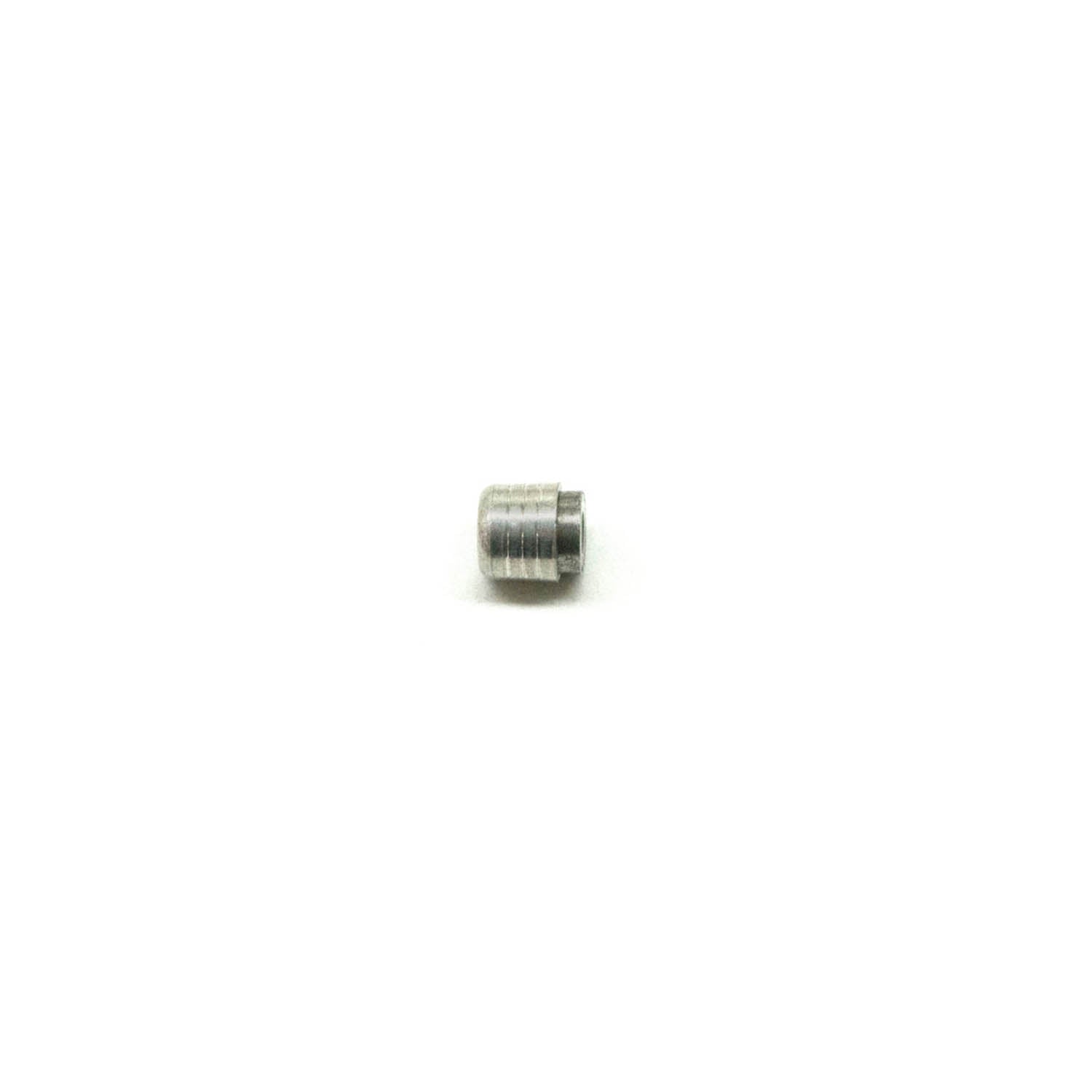 Small silver metal expansion plug with ridged edges and hollow center.