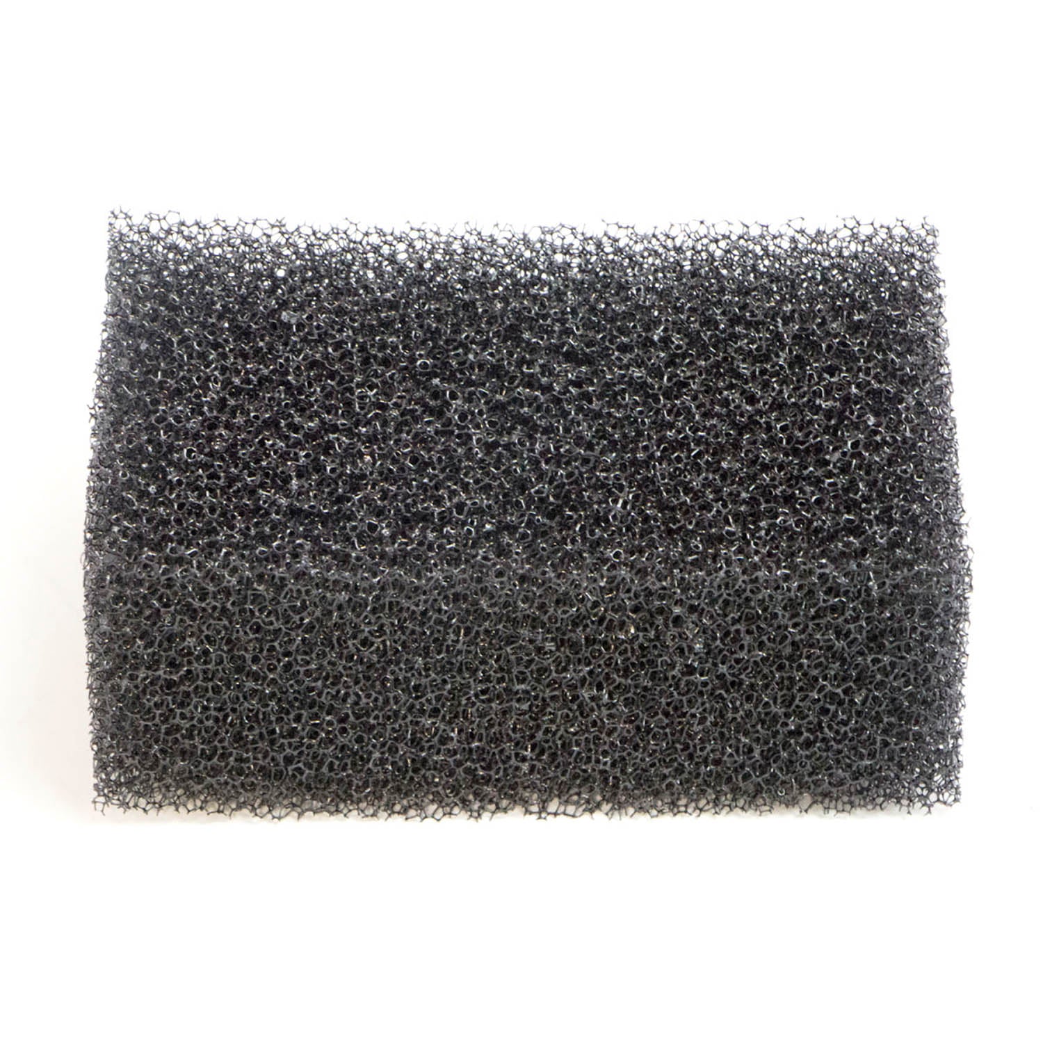 Rectangular black foam clutch intake filter with a coarse, porous texture.