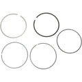 Ring Set by Moose
