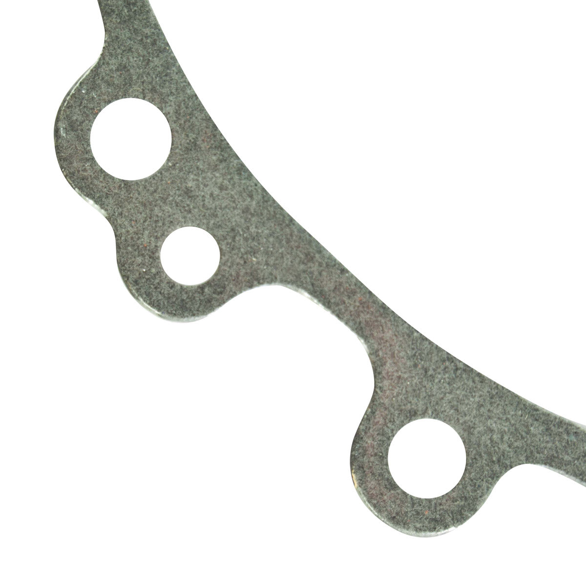 Gray textured stator cover gasket section with multiple circular bolt holes and irregular edges.