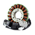 Generator Stator by RM Stator