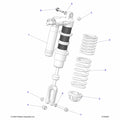 Shock-Front,G4,Ibplv,Lh by Polaris