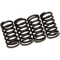 Clutch Springs Xr/Trx by Moose