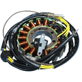 Stator For Polaris By Rick's Motorsport Electric