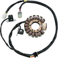 Stator Yamaha Wolv by Moose