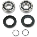 Swing Arm Bearing Kit Yfm by Moose