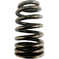 Valve Spring High Lift by Indian