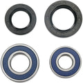 Wheel Bearing Kit by Moose