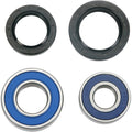 Wheel Bearing Kit by Moose