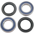 Wheel Bearing Kit by Moose