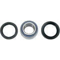 Wheel Bearing Kit by Moose